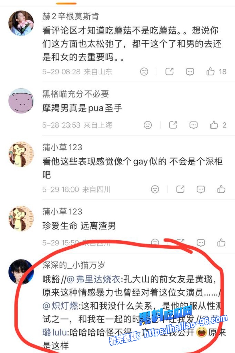 内地导演孔大山31