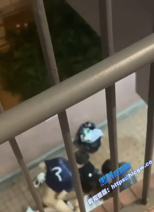 真实偷拍！香港屋苑平台3P性爱派对 女孩趴地上 前后夹击爽到停不下来！3