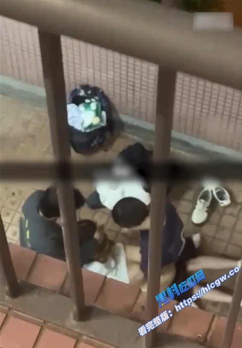 真实偷拍!香港屋苑平台3P性爱派对 女孩趴地上 前后夹击爽到停不下来!10 真实偷拍!香港屋苑平台3P性爱派对 女孩趴地上 前后夹击爽到停不下来!10