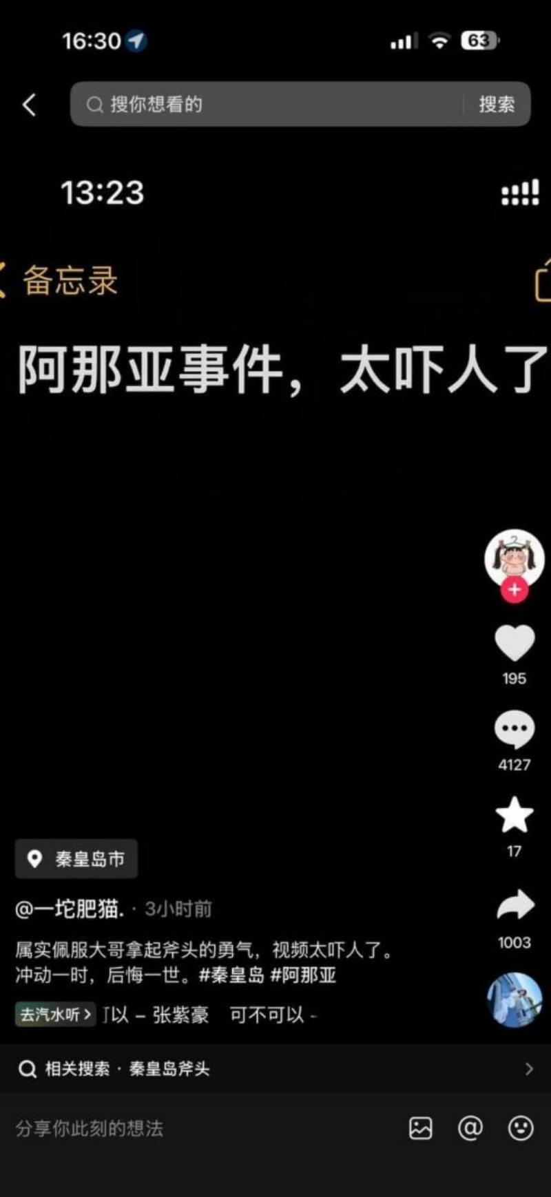 河北秦皇岛阿那亚砍人事件 2