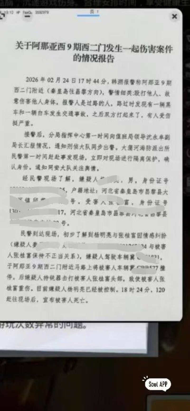 河北秦皇岛阿那亚砍人事件 6