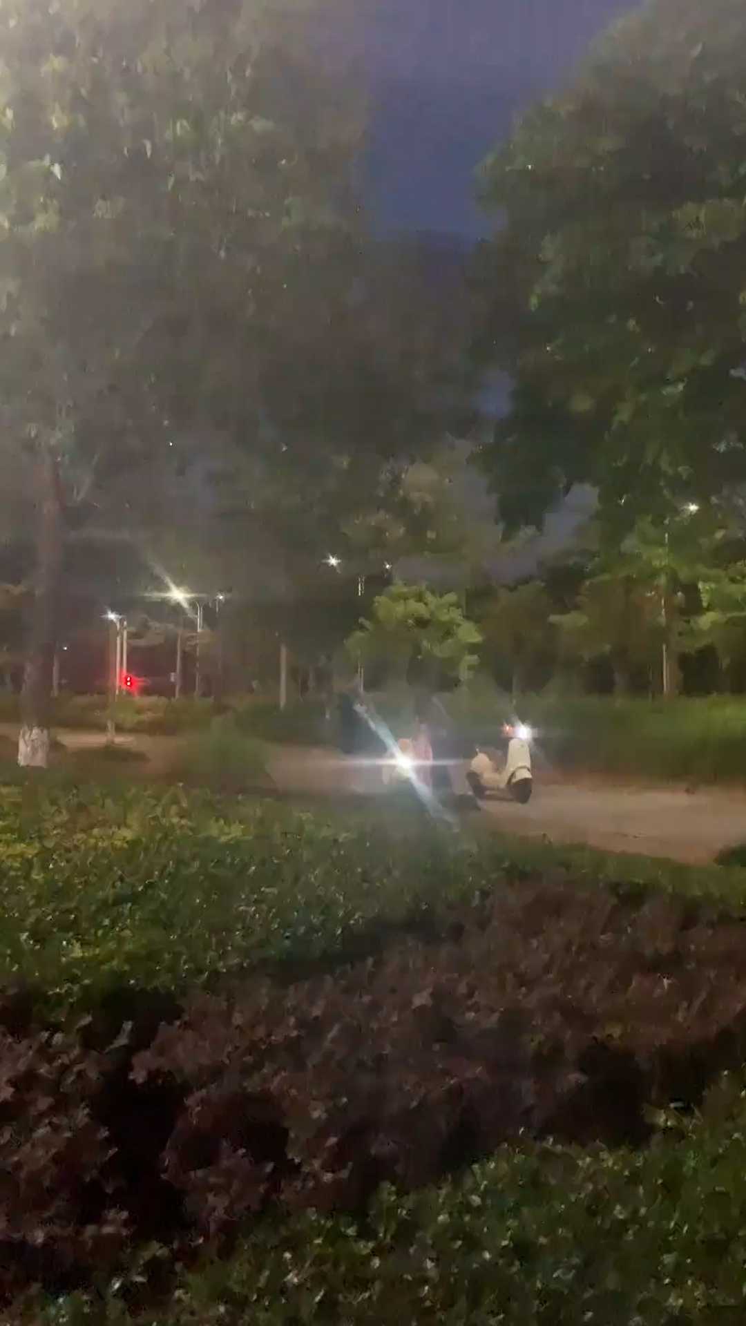 d6163钦州奇葩事