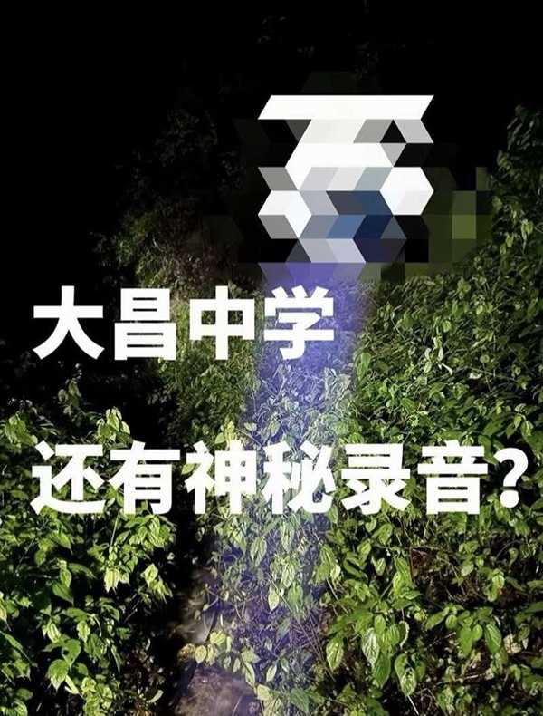 l6251 l6251