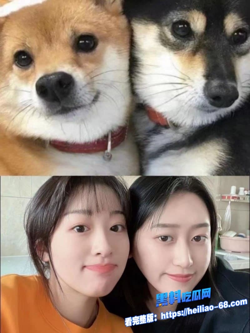 山东烟台人妻 刘祈瑄隐瞒老公偷情黑丝制服被炮友猛干到腿软反差感直接拉满2