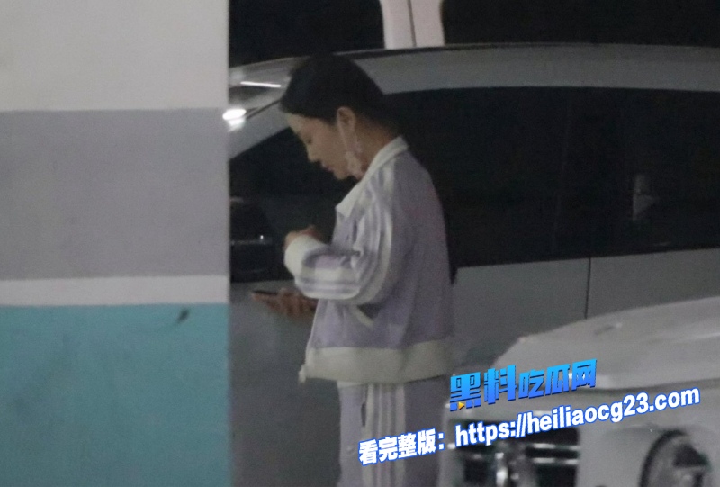 顶流明星李小璐5