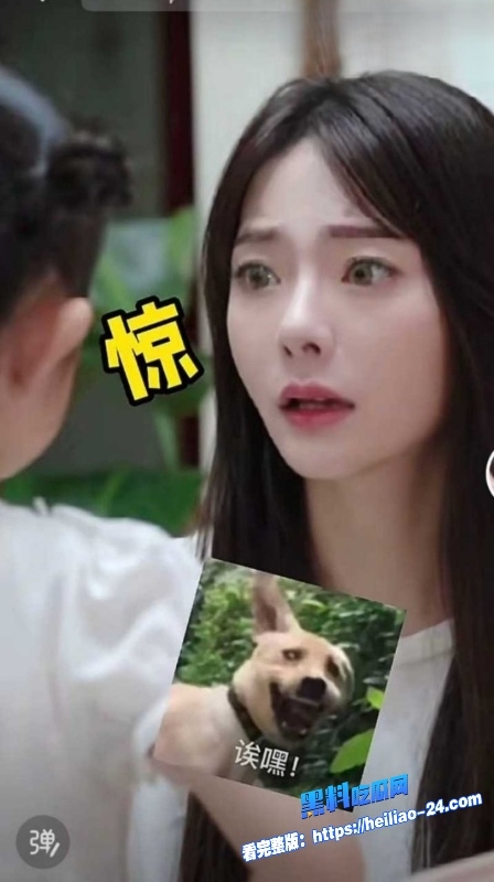 抖音百万粉宝爸陈嘉惟人设彻底塌房被妻子筱媛媛实锤婚内出轨网红潼潼妈妈12