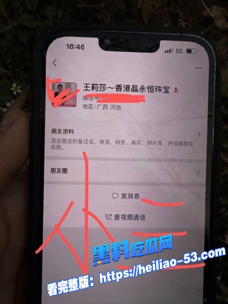 广西河池珠宝女王王莉莎小三实锤炸裂聊天记录淫语满天飞做梦都想被金主操 5