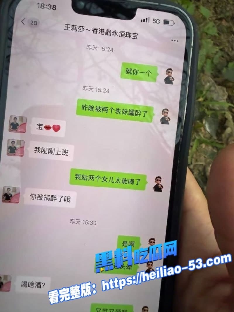 广西河池珠宝女王王莉莎小三实锤炸裂聊天记录淫语满天飞做梦都想被金主操 6