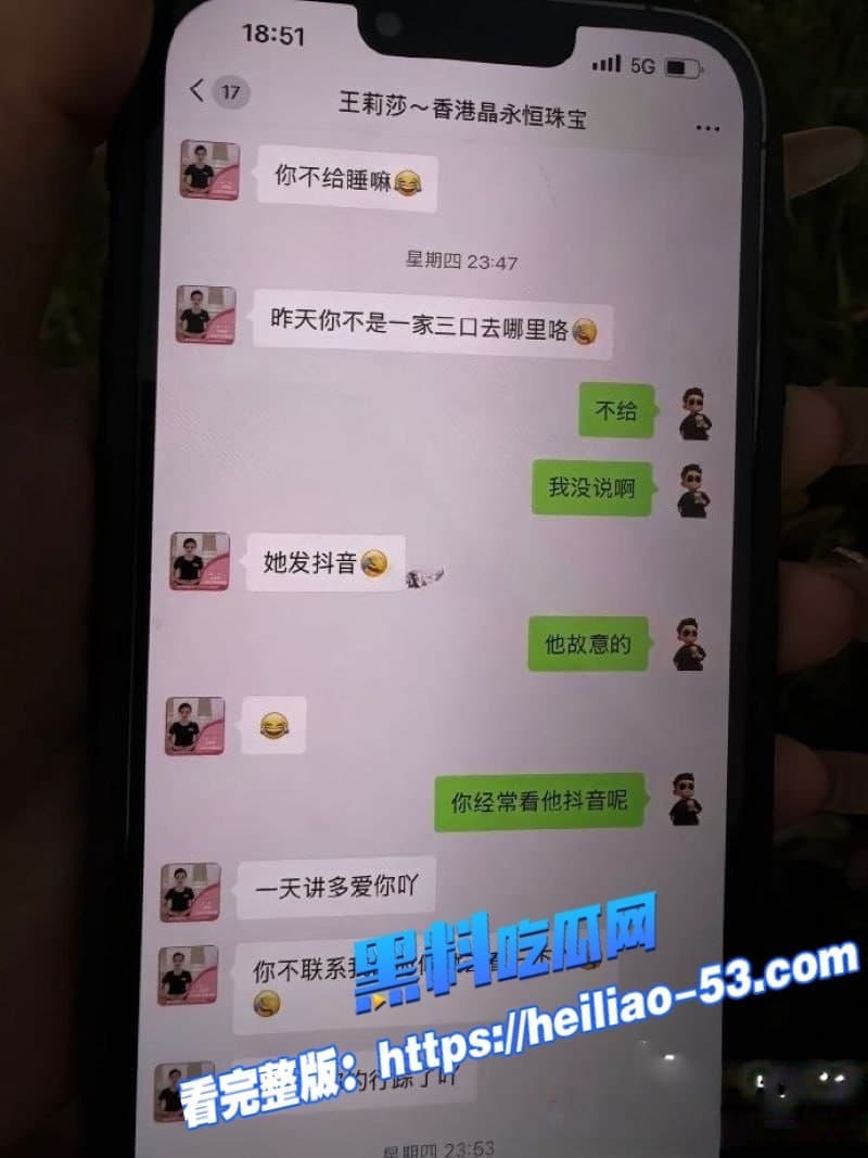 广西河池珠宝女王王莉莎小三实锤炸裂聊天记录淫语满天飞做梦都想被金主操 7