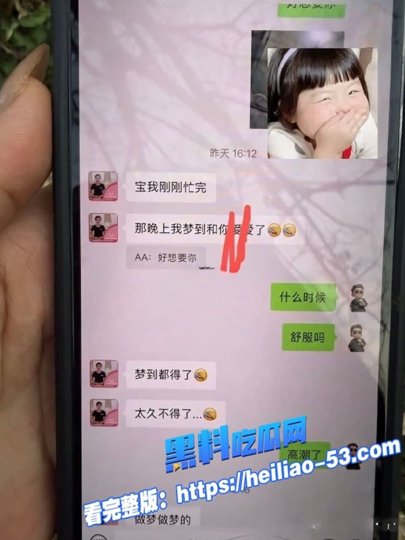 广西河池珠宝女王王莉莎小三实锤炸裂聊天记录淫语满天飞做梦都想被金主操 8
