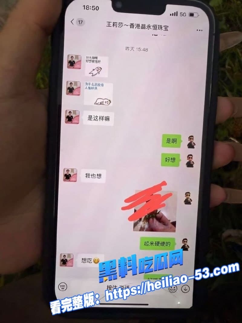 广西河池珠宝女王王莉莎小三实锤炸裂聊天记录淫语满天飞做梦都想被金主操 9