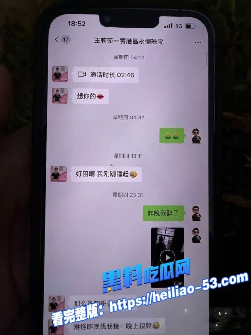 广西河池珠宝女王王莉莎小三实锤炸裂聊天记录淫语满天飞做梦都想被金主操 10