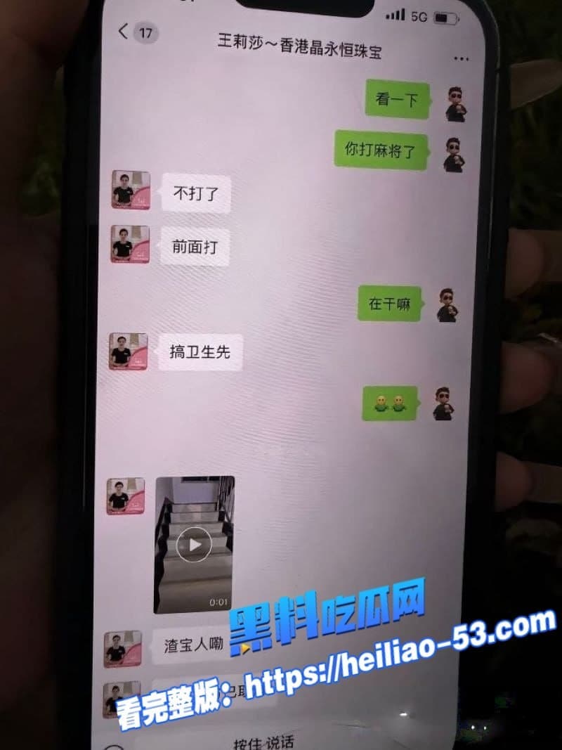 广西河池珠宝女王王莉莎小三实锤炸裂聊天记录淫语满天飞做梦都想被金主操 13