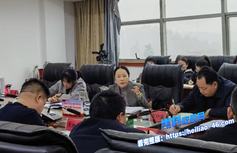 湖南邵阳最美副市长仇珂静被开除党籍移送检察院权色交易包养男模丑闻曝光 3