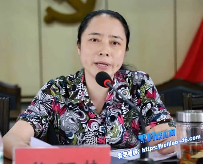 湖南邵阳最美副市长仇珂静被开除党籍移送检察院权色交易包养男模丑闻曝光 4