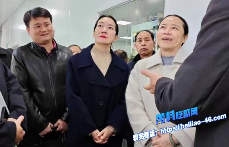 湖南邵阳最美副市长仇珂静被开除党籍移送检察院权色交易包养男模丑闻曝光 5