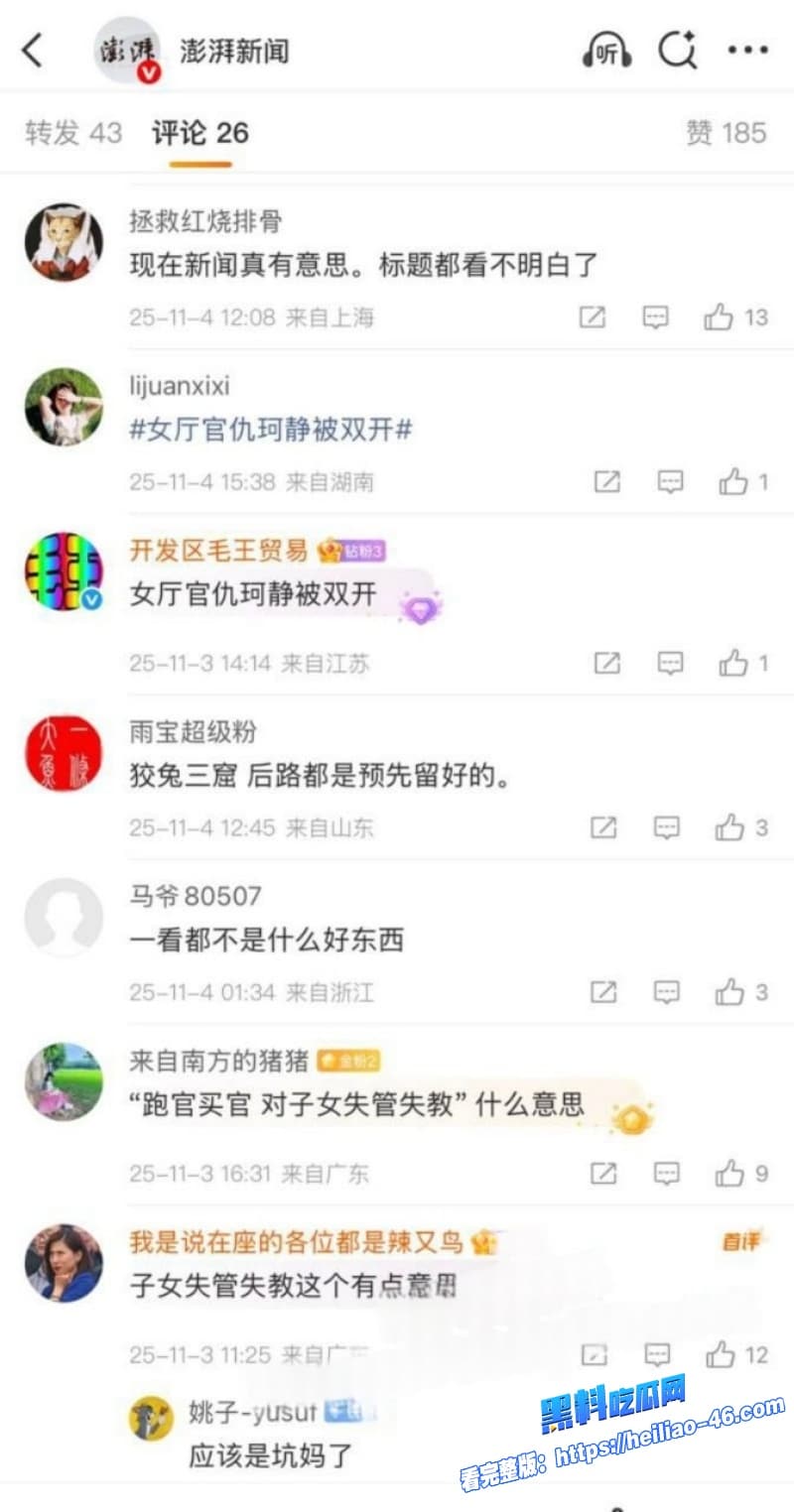 湖南邵阳最美副市长仇珂静被开除党籍移送检察院权色交易包养男模丑闻曝光 6