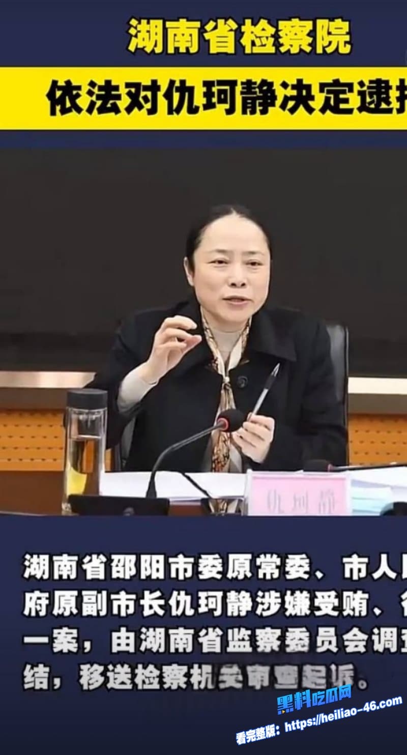 湖南邵阳最美副市长仇珂静被开除党籍移送检察院权色交易包养男模丑闻曝光 10