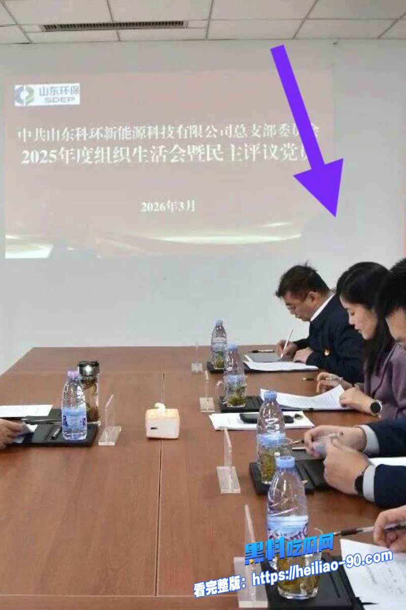 山东女董事长李倩2 山东女董事长李倩2