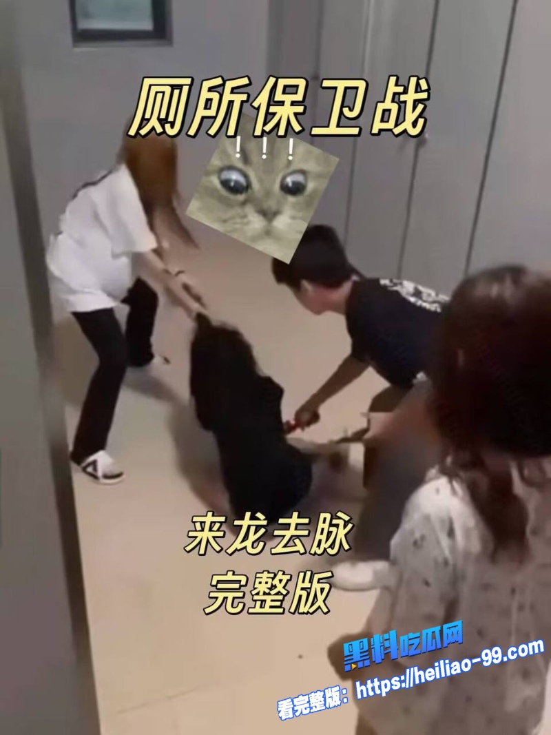 厕所保卫战0