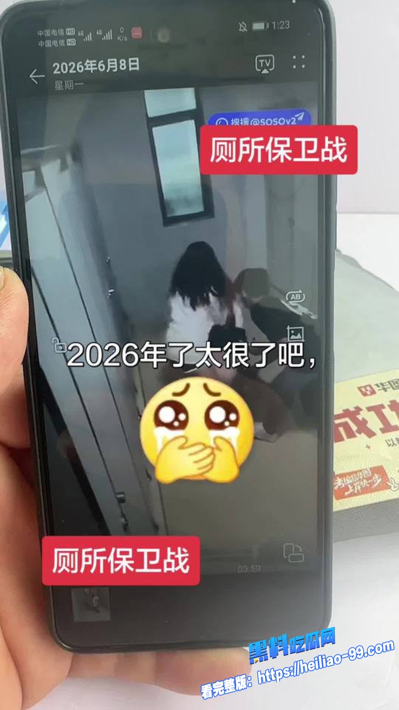 厕所保卫战3