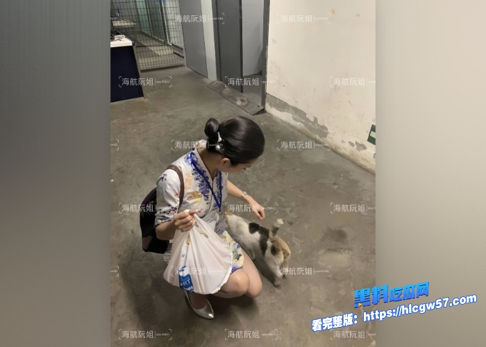 顶级制服诱惑海航空姐海航阮姐高清大尺度图片与视频流出全套付费资源颜值天花板啊私下约炮头等舱vip客户是真的骚 图30 顶级制服诱惑海航空姐海航阮姐高清大尺度图片与视频流出全套付费资源颜值天花板啊私下约炮头等舱vip客户是真的骚 图30