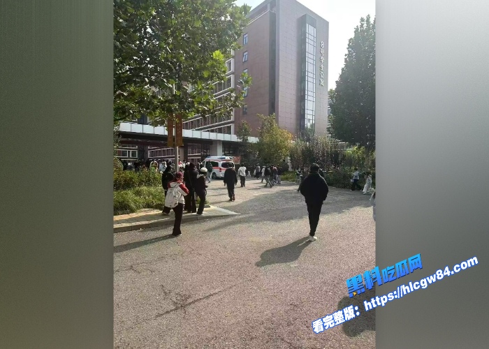 大学生贷款做倒狗 赔钱十几万!跳楼轻生冲上热搜! 10 大学生贷款做倒狗 赔钱十几万!跳楼轻生冲上热搜! 10