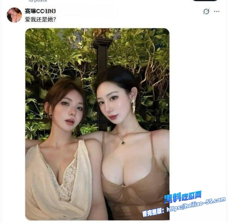 抖音网红赛琳cc外网卖片捞金曝光约炮圈粉后粉丝砸重金加V却瞬间被拉黑卖逼妓女毫无底线职业操守24 抖音网红赛琳cc外网卖片捞金曝光约炮圈粉后粉丝砸重金加V却瞬间被拉黑卖逼妓女毫无底线职业操守24