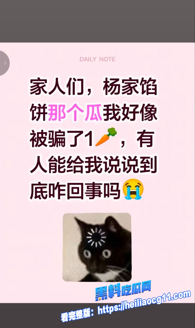 杨家馅饼录音争议2