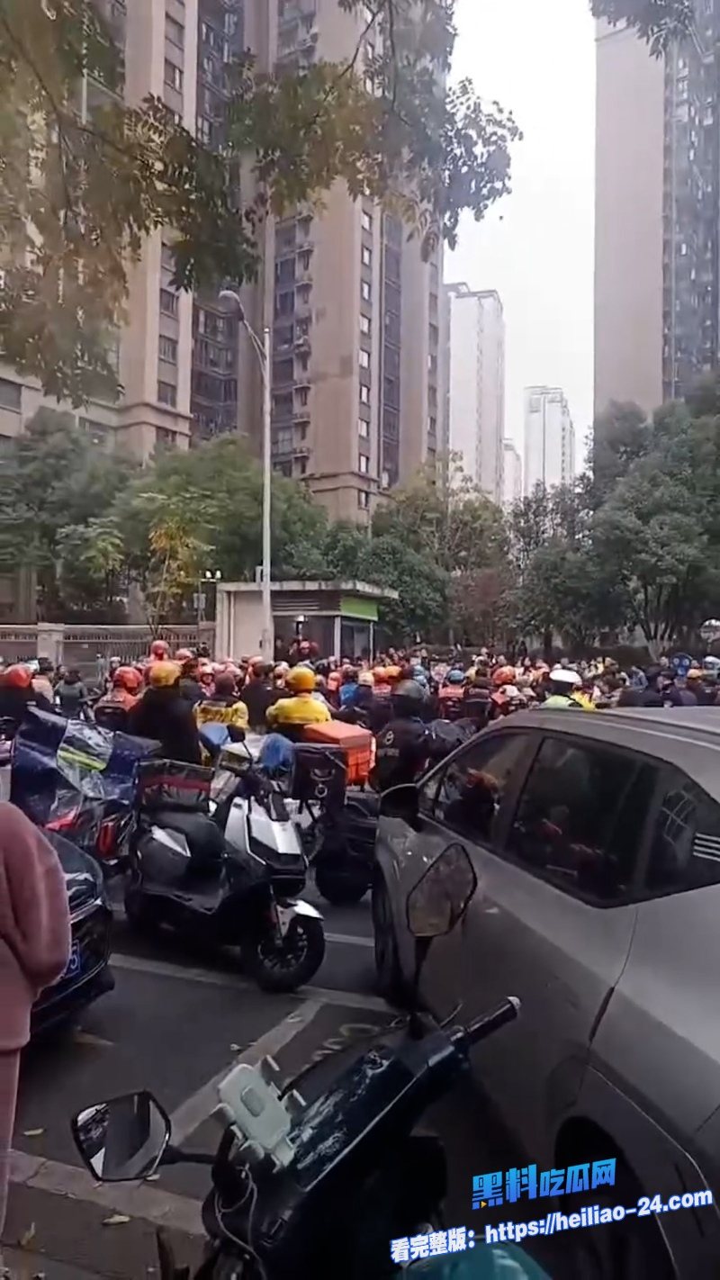 长沙外卖事件长沙合能璞丽小区物业双标激怒骑手千人大军鸣笛抗议现场视频流出太燃了 15