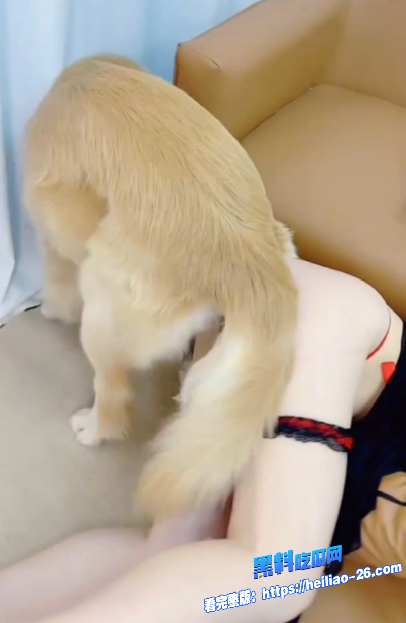 猎奇重口国产人兽主播香香公主私密曝光甜美公主与爱犬金毛亲密互动7 猎奇重口国产人兽主播香香公主私密曝光甜美公主与爱犬金毛亲密互动7