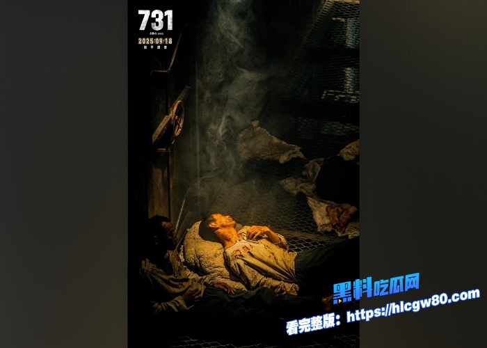 电影731重磅上线国人共情下破多项票房纪录独家完整抢先版免费在线观看勿忘国耻做个有态度的中国人 图6