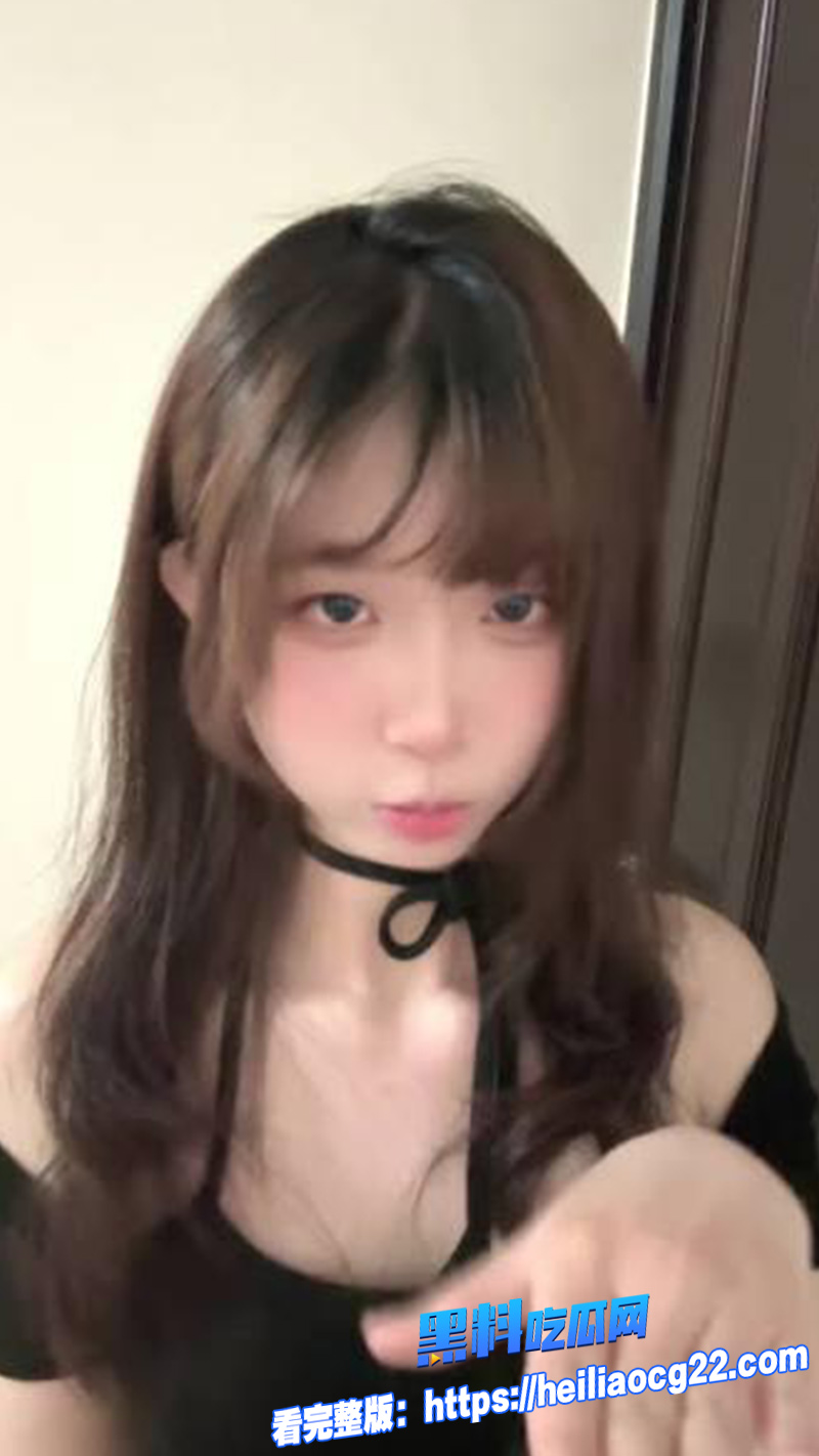 d困困狗2