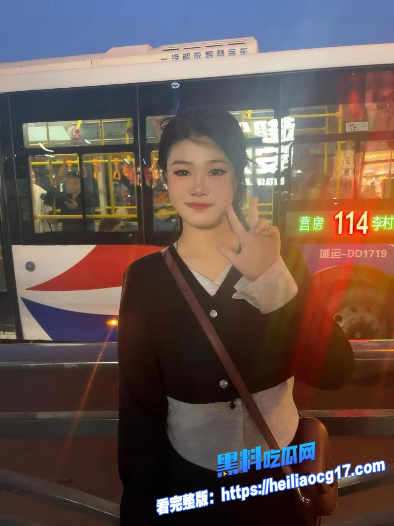 极品外围女神11