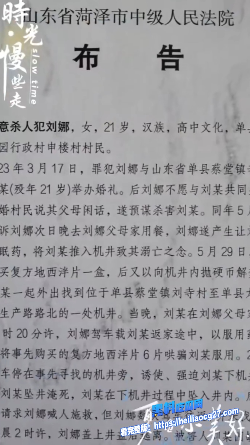 山东菏泽单县刘娜6