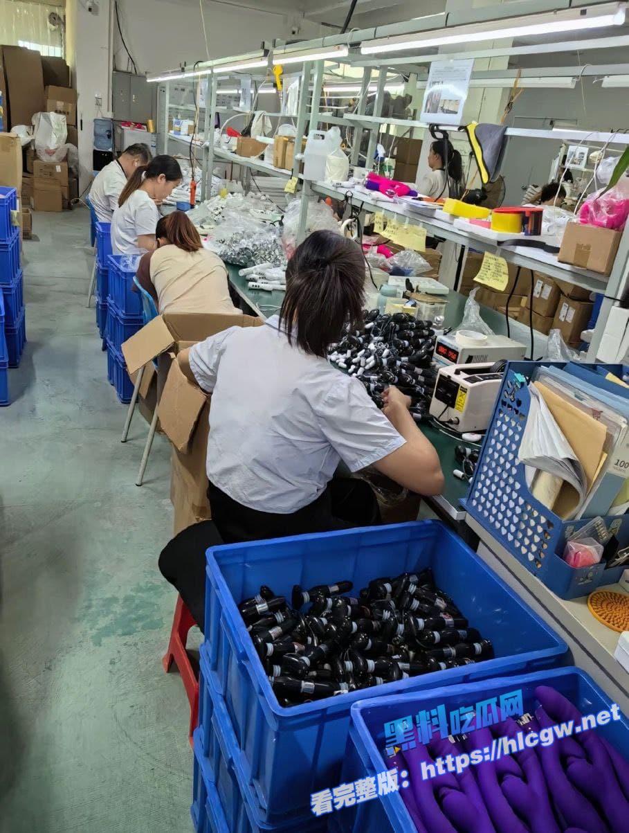 深圳龙岗区鸡吧电动厂2