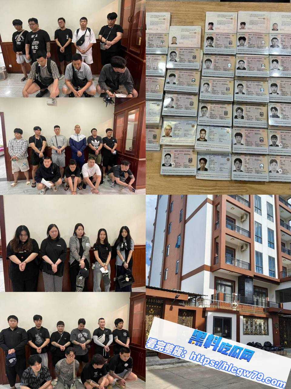 小马紧急发声:你们军队必须中立!01 小马紧急发声:你们军队必须中立!01