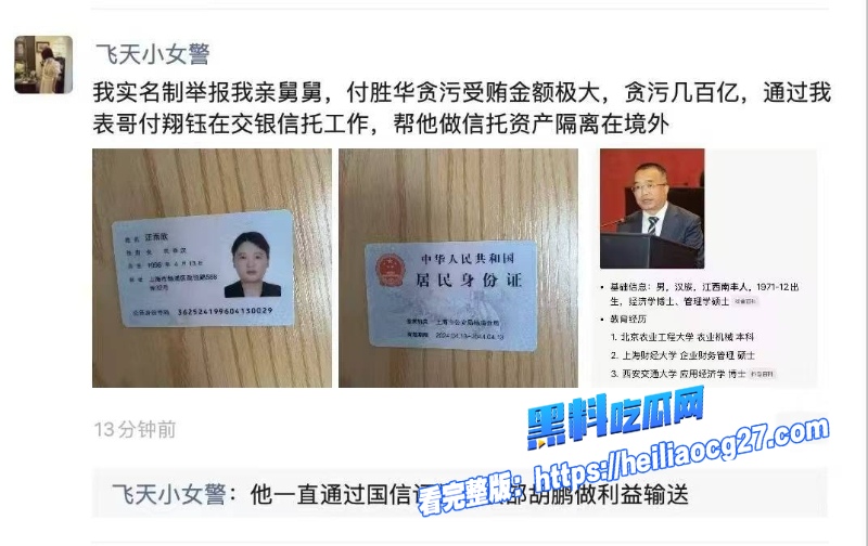 长沙副市长舅舅付胜华4