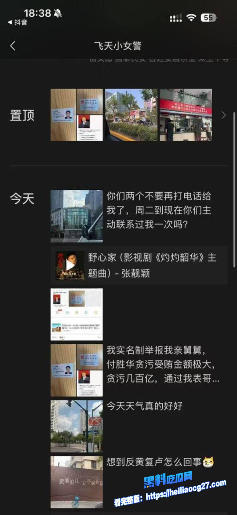 长沙副市长舅舅付胜华7