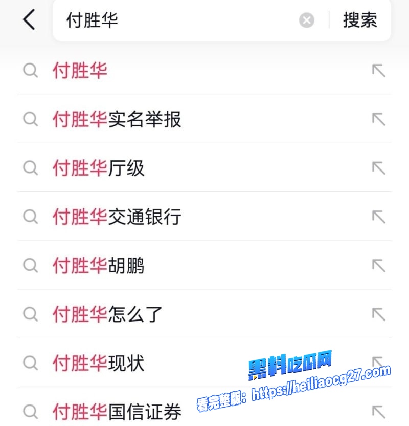 长沙副市长舅舅付胜华11