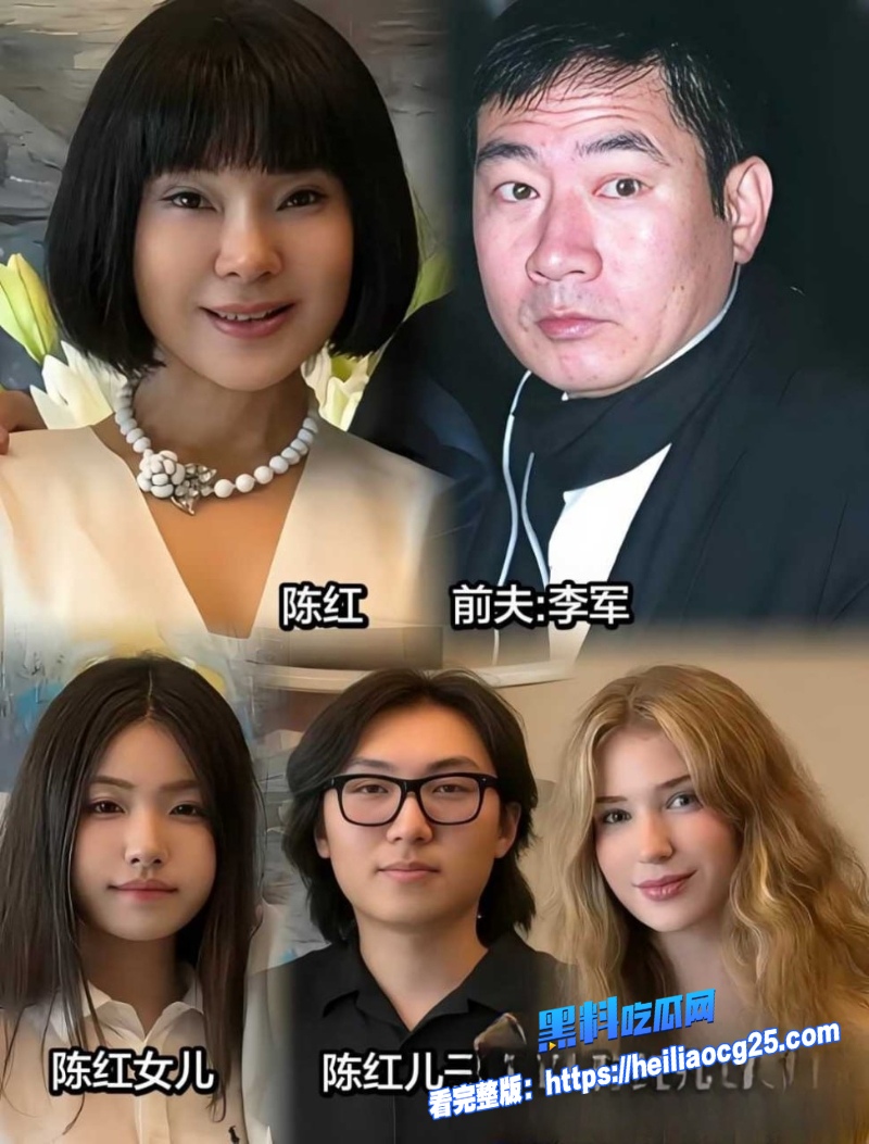 知名歌手陈红7