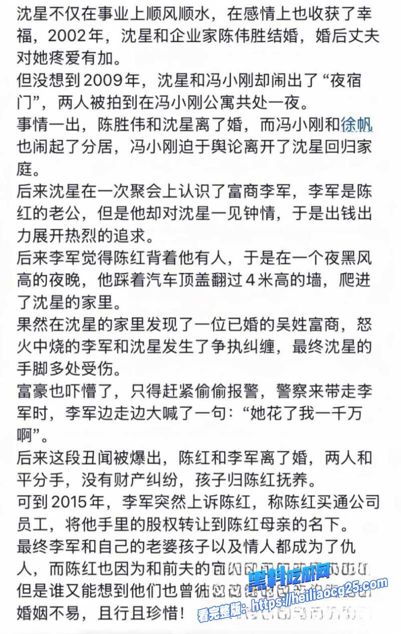知名歌手陈红13