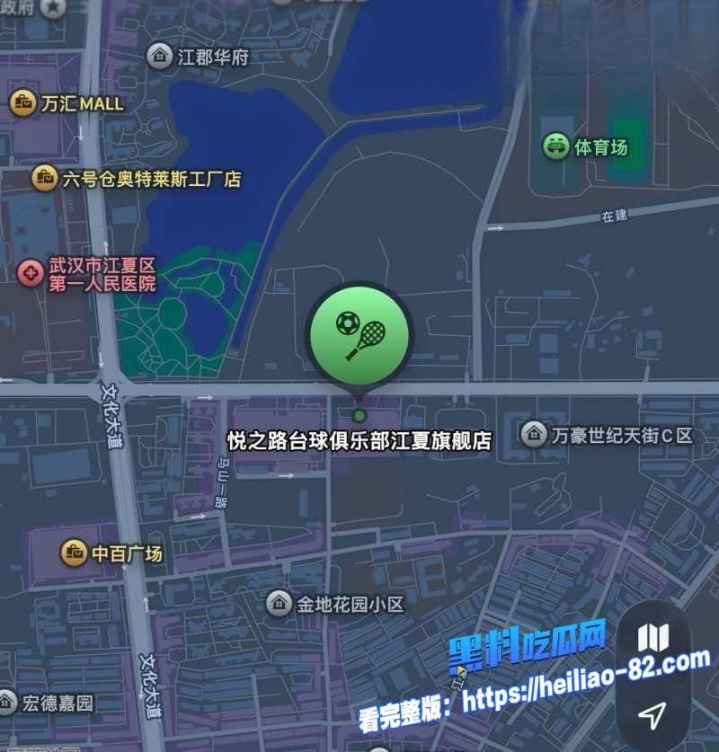 武汉江夏悦之路台球厅再爆大瓜近60名女助教扫黄全抓走球友群里疯传双飞视频2 武汉江夏悦之路台球厅再爆大瓜近60名女助教扫黄全抓走球友群里疯传双飞视频2