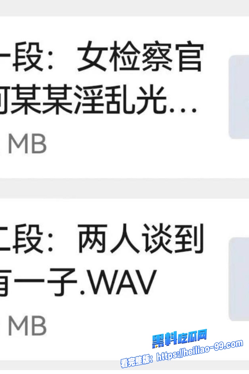 重庆女检察官王维丹21 重庆女检察官王维丹21