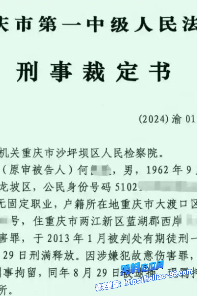 重庆女检察官王维丹29 重庆女检察官王维丹29