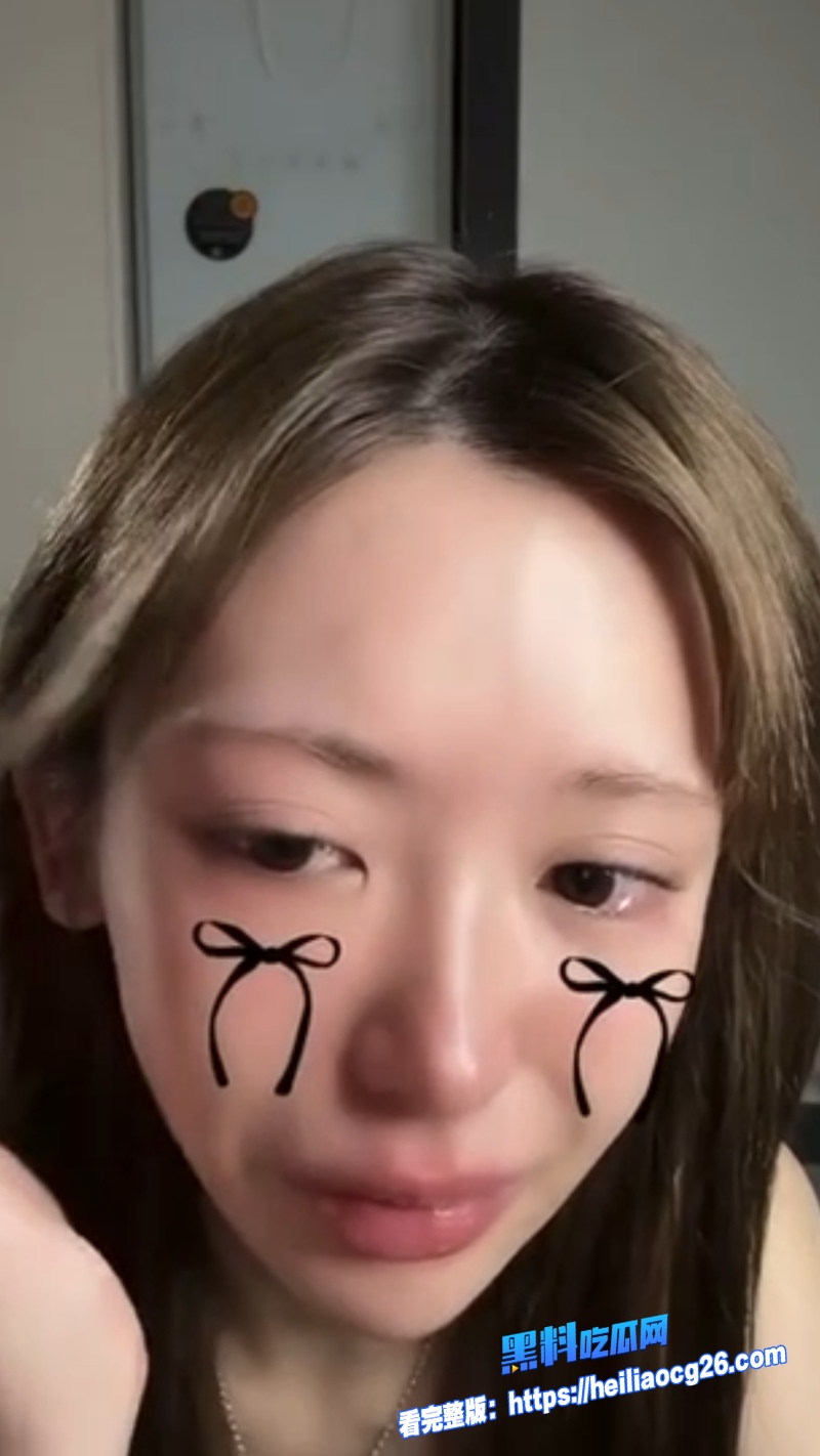 日本女网红西村力8