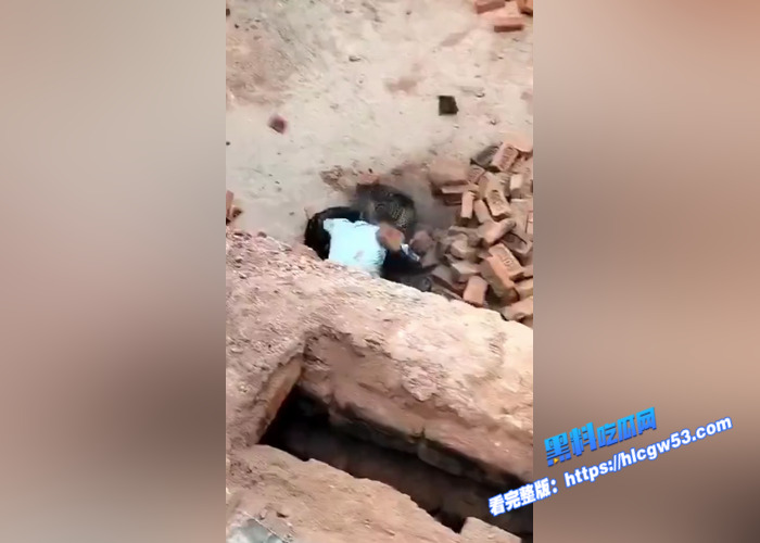 现代版武松！古有武松打虎 今有印度男子徒手斗花豹 谁的部将如此勇猛4