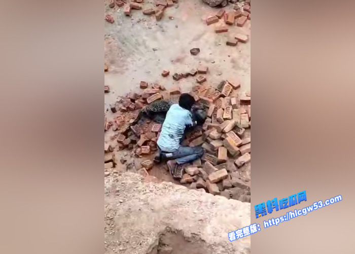 现代版武松！古有武松打虎 今有印度男子徒手斗花豹 谁的部将如此勇猛6