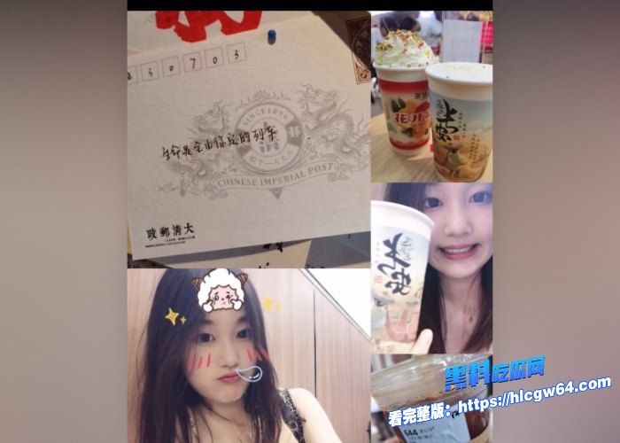 瓜友投稿探探上认识的天津女大学生沈鑫怡认识没几天就本性显露和瓜友裸聊自慰展示骚穴 图3