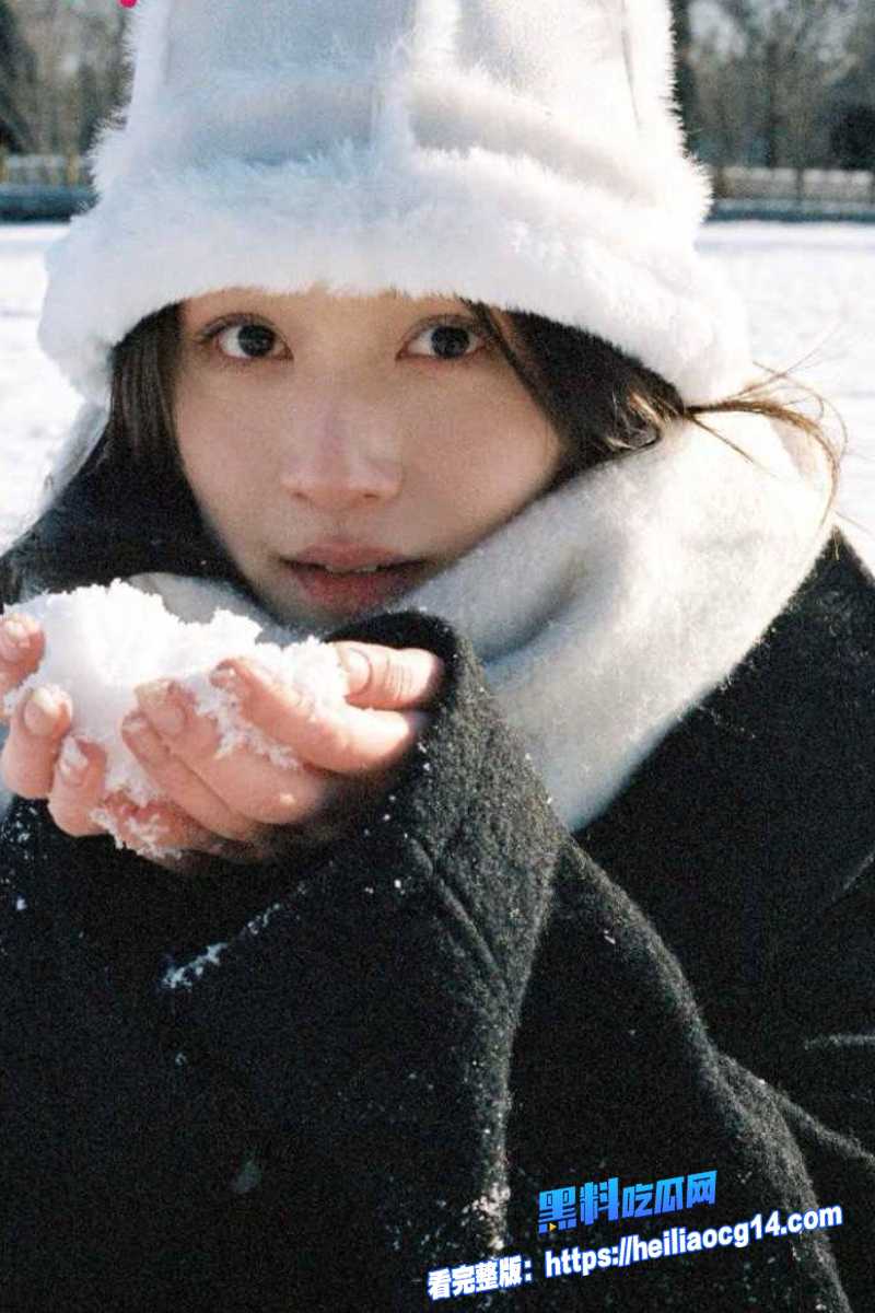 顶流明星陈思诚2